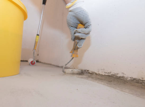 Best Bed Bug Extermination  in Safford, AZ